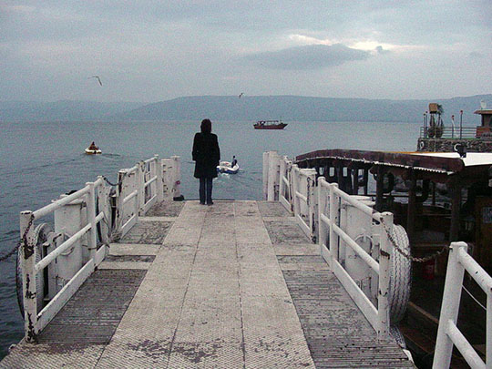 [Chronique] Carole Darricarrère, Une lecture mot à maux (à propos de Catherine Weinzaepflen, Un précipité)